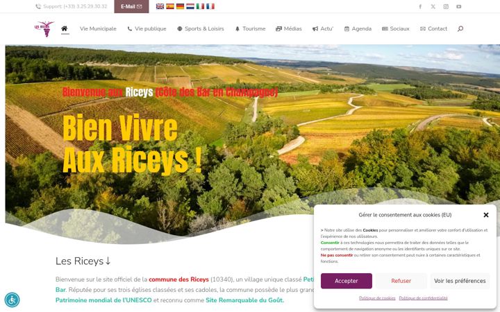 Screenshot of les-riceys.fr