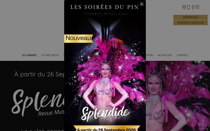 Screenshot of les-soireesdupin.fr