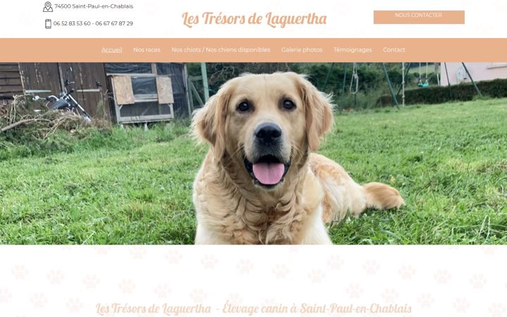 Screenshot of les-tresors-de-laguertha.fr