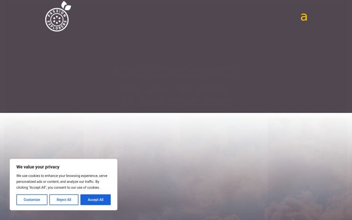 Screenshot of les-voyages.com