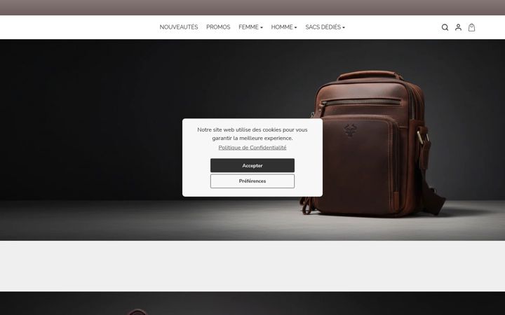 Screenshot of lesacbandouliere.fr