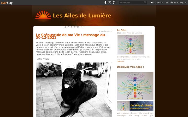 Screenshot of lesailesdelumiere.com