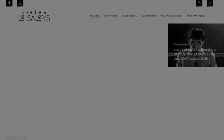 Screenshot of lesaleyscinema.fr