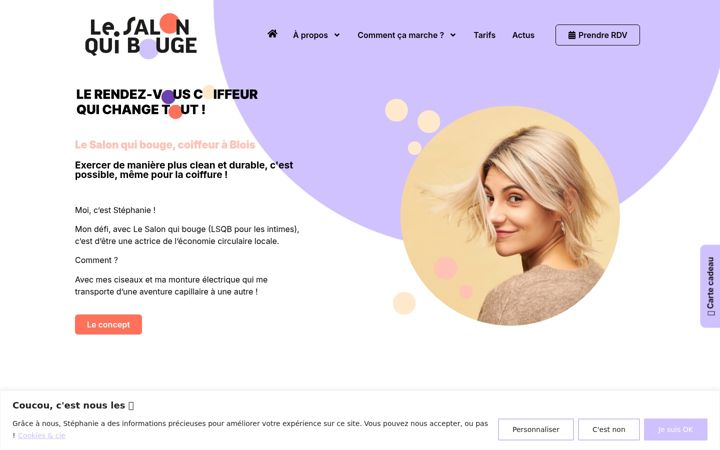Screenshot of lesalonquibouge.fr