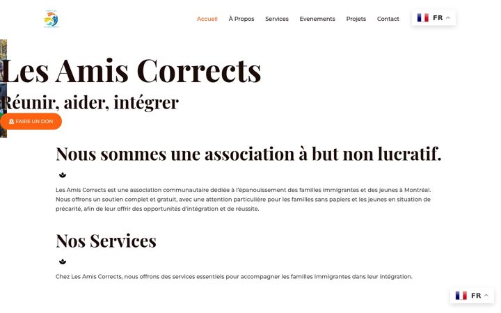 Screenshot of lesamiscorrect.org