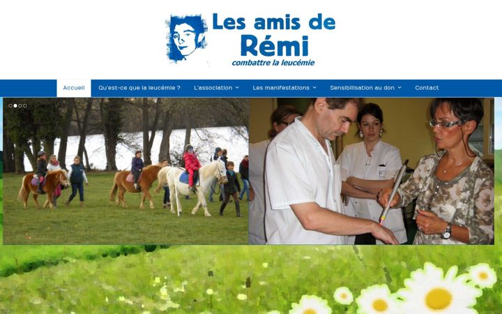Screenshot of lesamisderemi.fr