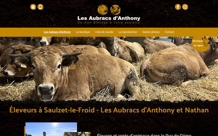Screenshot of lesaubracsdanthony.fr