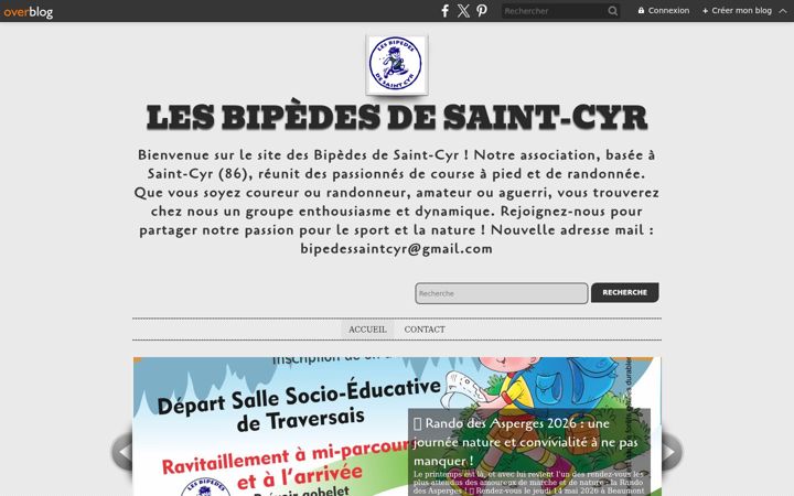 Screenshot of lesbipedesdesaintcyr.com