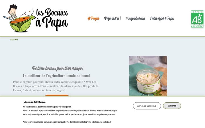 Screenshot of lesbocauxapapa.fr