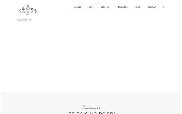 Screenshot of lesboisnoirsspa.fr