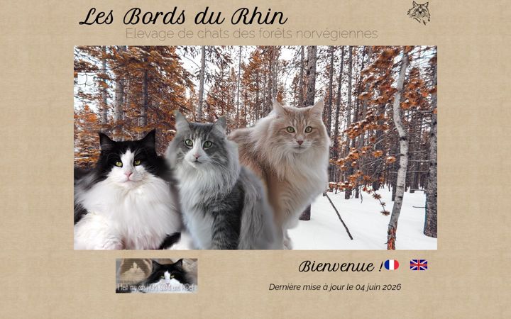 Screenshot of lesbordsdurhin.fr
