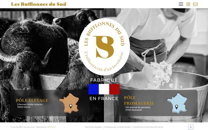 Screenshot of lesbufflonnesdusud.fr