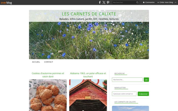 Screenshot of lescarnetsdecalixte.fr
