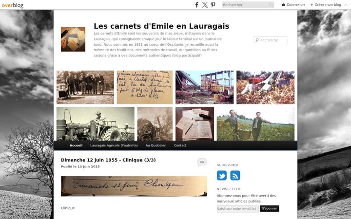 Screenshot of lescarnetsdemile.fr