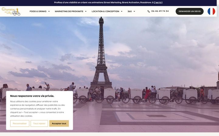 Screenshot of lescharrettesdelily.com