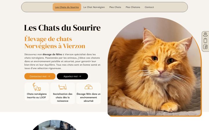 Screenshot of leschatsdusourire.fr
