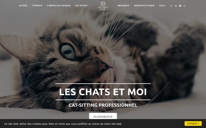 Screenshot of leschatsetmoi.com