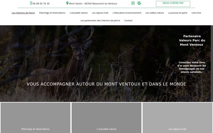 Screenshot of lescheminsdepierre.fr
