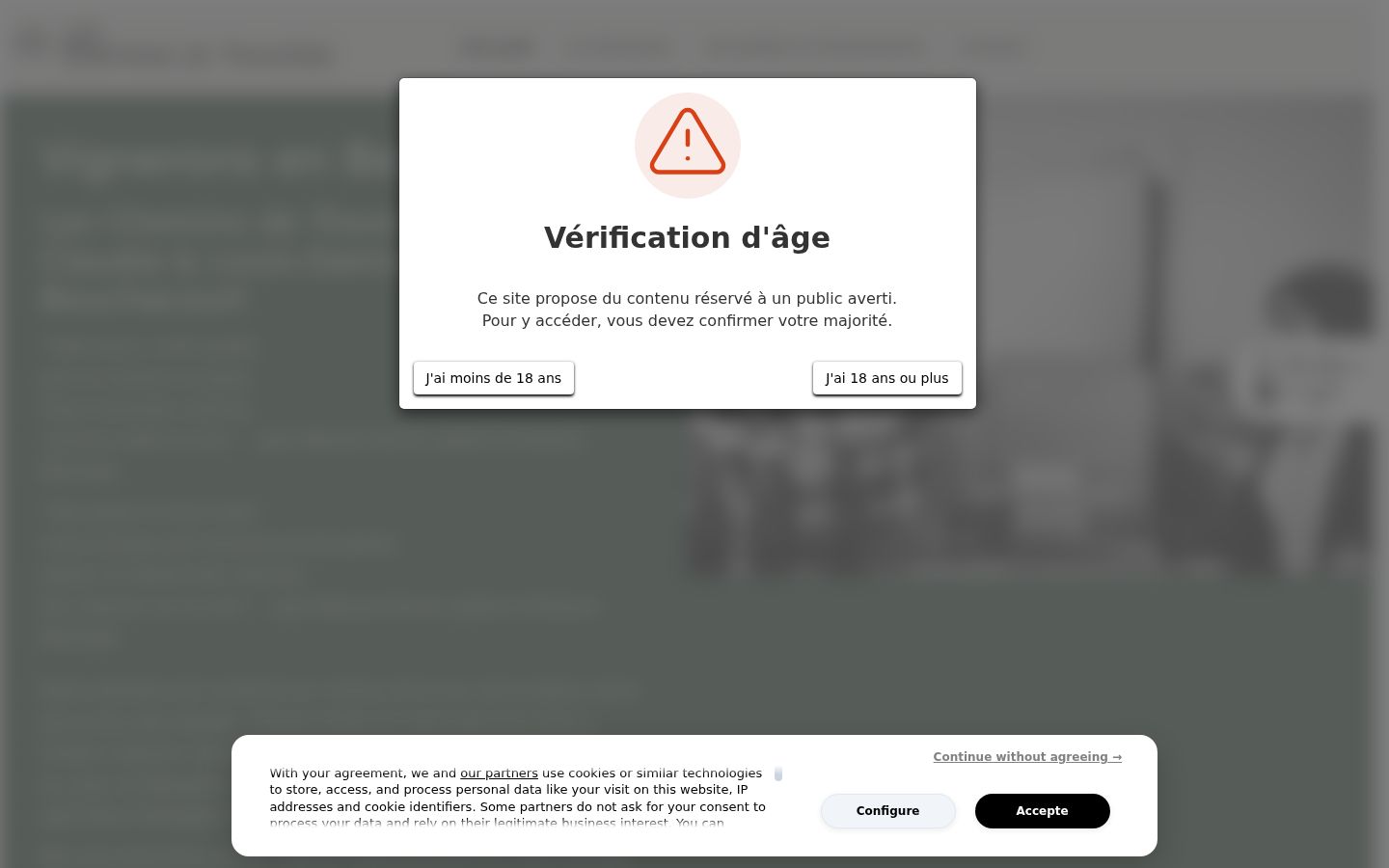 Skjámynd af samþykkisborðanum eins og hann birtist áður en nokkur samskipti fóru fram