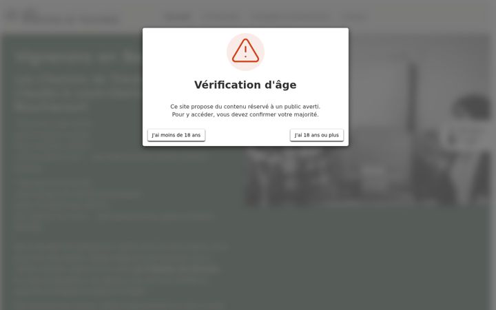 Screenshot of lescheminsdetraversevin.fr