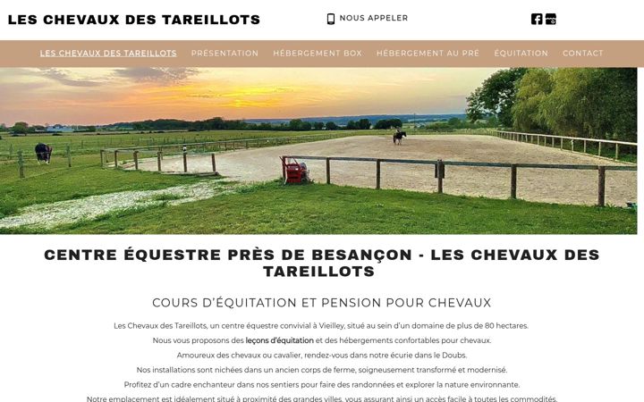 Screenshot of leschevauxdestareillots.fr