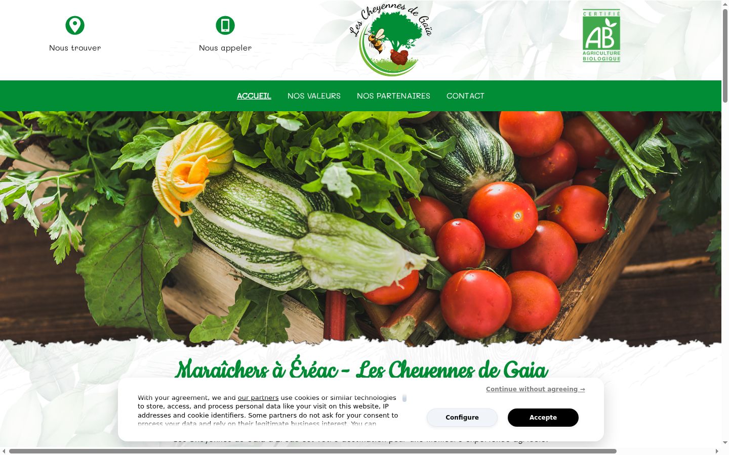 Screenshot van de toestemmingsbanner zoals getoond vóór enige interactie
