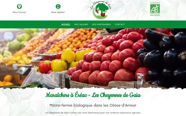 Screenshot of lescheyennesdegaia-ventedirecte.fr
