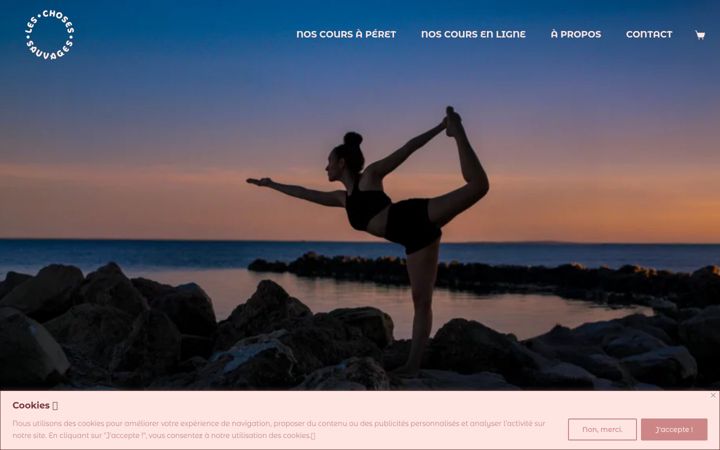 Screenshot of leschosessauvages.com