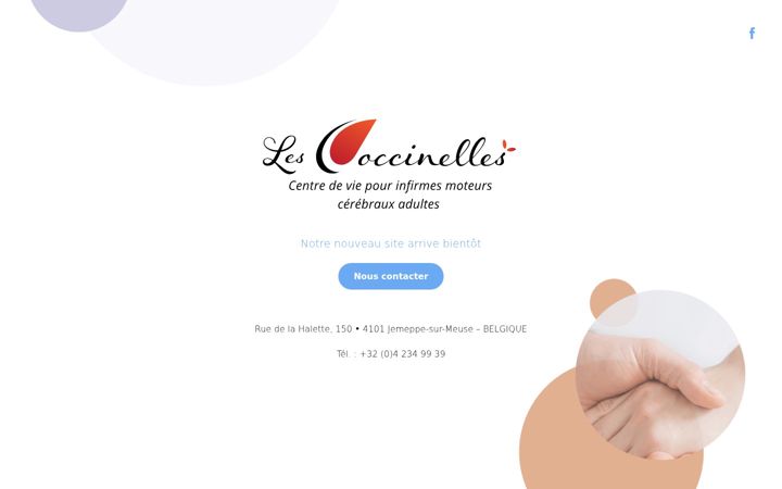 Screenshot of lescoccinelles.be