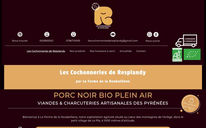 Screenshot of lescochonneriesderesplandy.fr