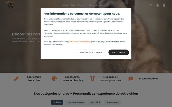 Screenshot of lescolliersdeflo37.fr