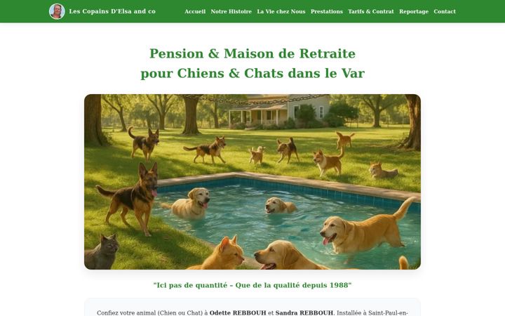 Screenshot of lescopainsdelsa-and-co.com
