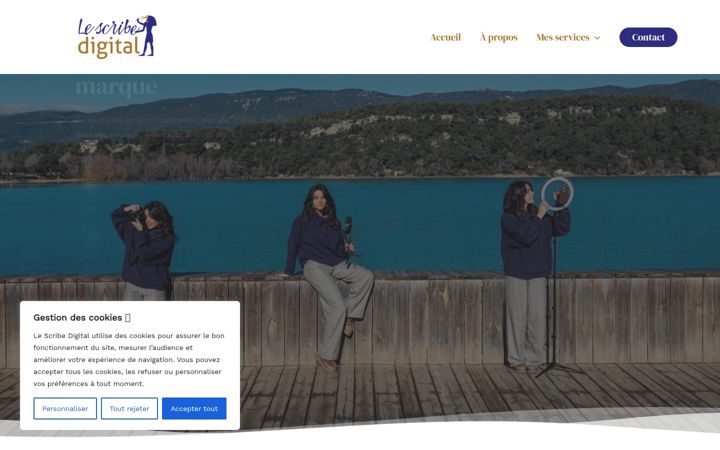 Screenshot of lescribedigital.fr