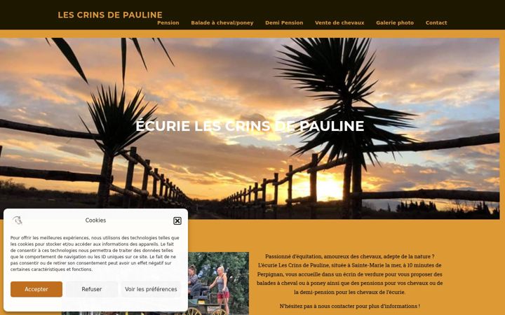 Screenshot of lescrinsdepauline.fr