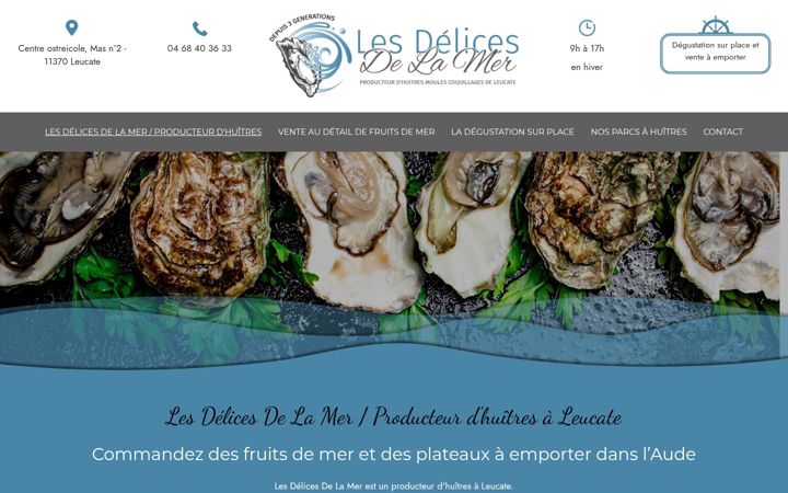 Screenshot of lesdelicesdelamer11.fr
