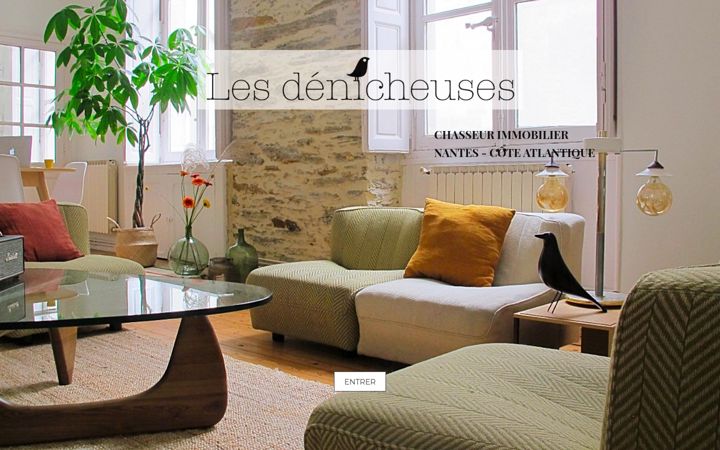 Screenshot of lesdenicheuses-immobilier.com