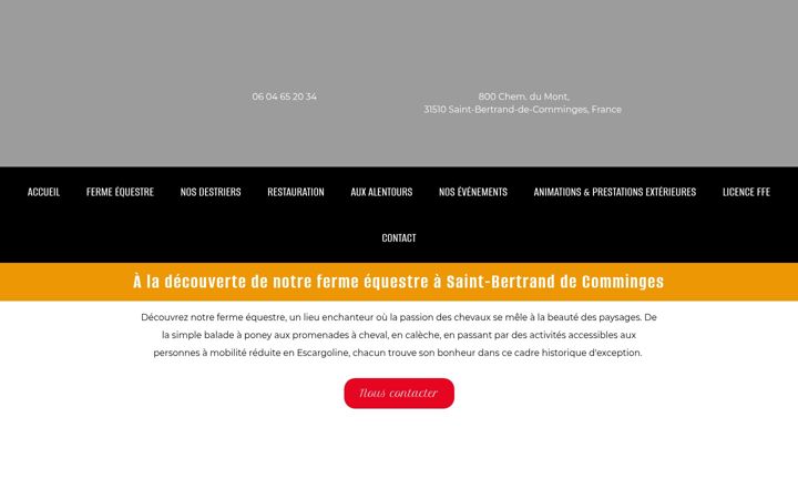 Screenshot of lesdestriersdestbertrand.fr