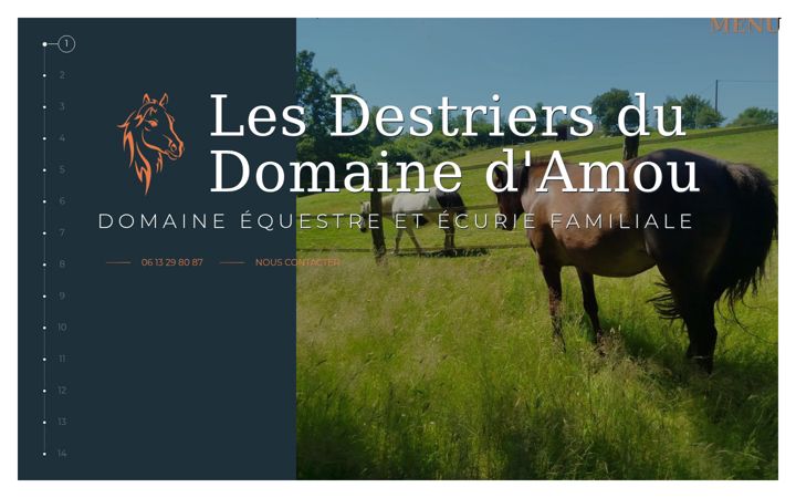 Screenshot of lesdestriersdudomainedamou.fr
