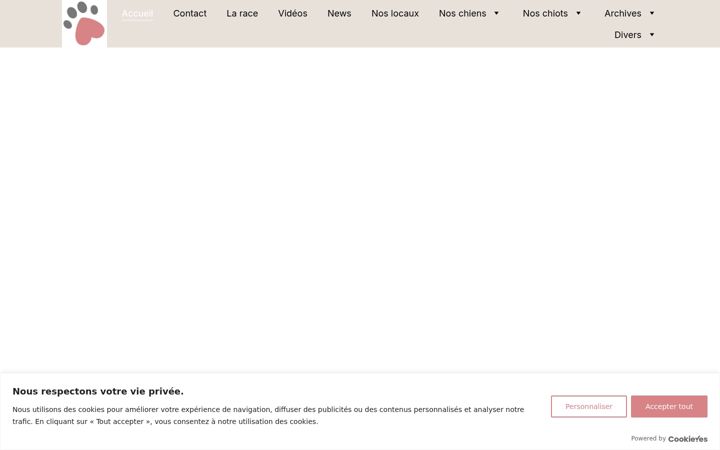Screenshot of lesdiamantsnoirsdalso.fr