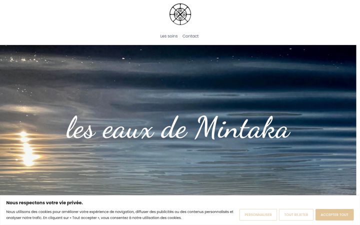 Screenshot of leseauxdemintaka.com