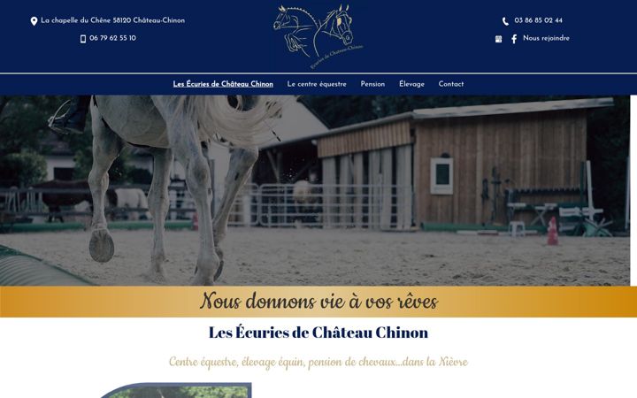Screenshot of lesecuriesdechateauchinon.fr