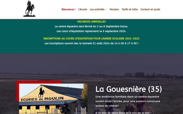 Screenshot of lesecuriesdumoulin35.fr