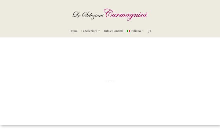Screenshot of leselezionicarmagnini.it