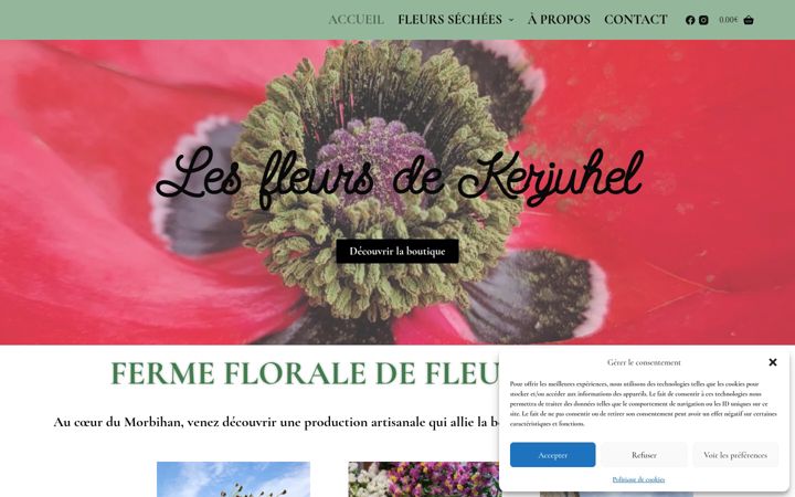 Screenshot of lesfleursdekerjuhel.fr