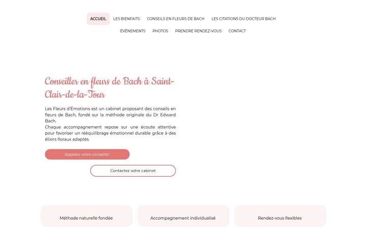 Screenshot of lesfleursdemotions.fr