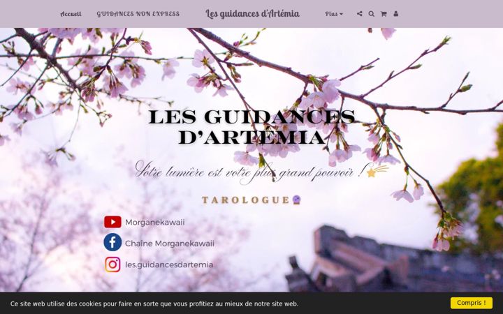 Screenshot of lesguidancesdartemia.com