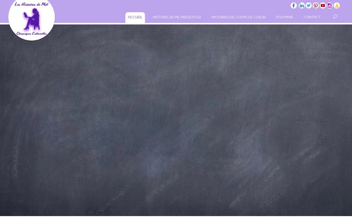 Screenshot of leshistoiresdemel.com