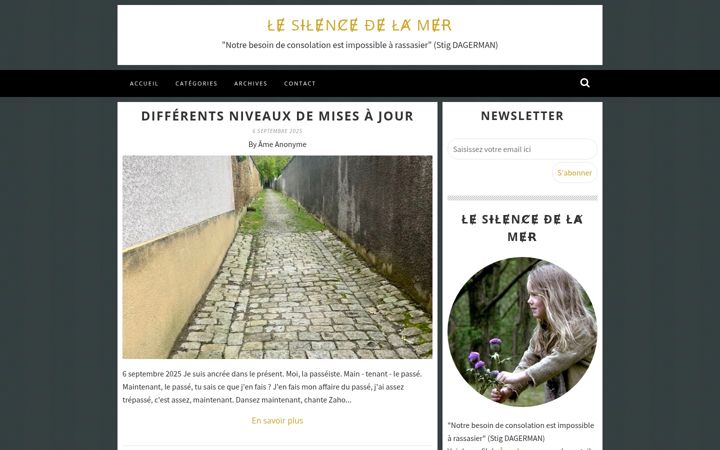Screenshot of lesilencedelamer100313.com