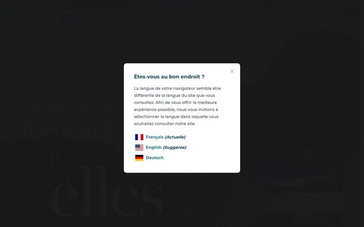 Screenshot of lesilesdeguadeloupe.com