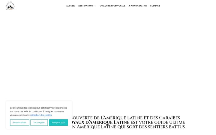 Screenshot of lesjoyauxdameriquelatine.fr